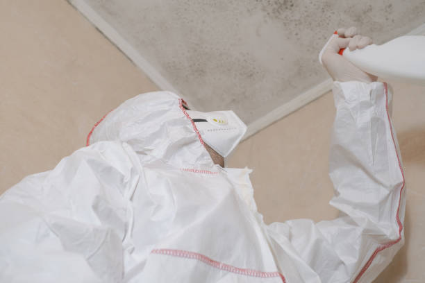 Best Mold Testing and Inspection Services in Decatur, GA